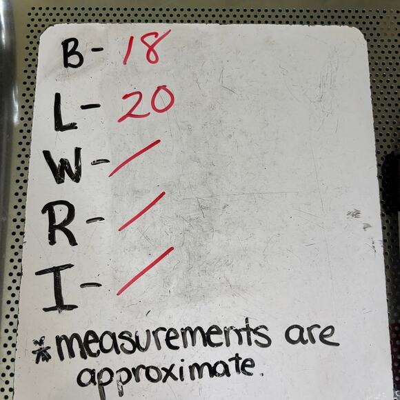 NWT A Peach Off Shoulder Gold Milkmaid Corset Crop Top Women's Size Large - Picture 7 of 8